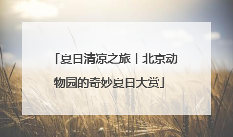 夏日清凉之旅丨北京动物园的奇妙夏日大赏