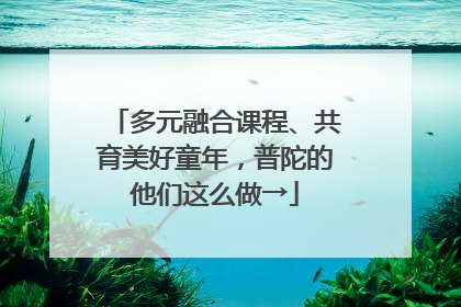 多元融合课程、共育美好童年，普陀的他们这么做→
