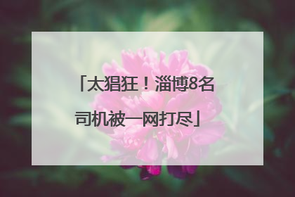 太猖狂！淄博8名司机被一网打尽
