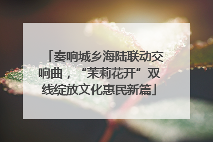 奏响城乡海陆联动交响曲，“茉莉花开”双线绽放文化惠民新篇