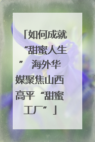 如何成就“甜蜜人生” 海外华媒聚焦山西高平“甜蜜工厂”