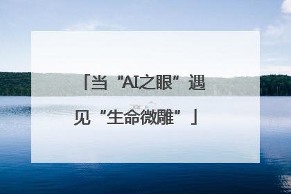 当“AI之眼”遇见“生命微雕”