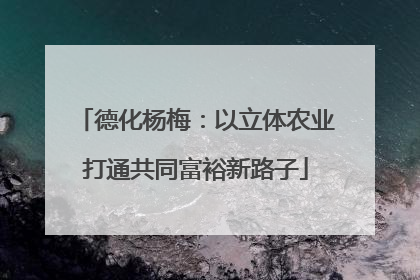 德化杨梅：以立体农业打通共同富裕新路子