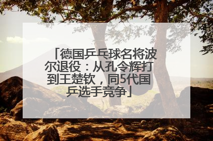 德国乒乓球名将波尔退役：从孔令辉打到王楚钦，同5代国乒选手竞争