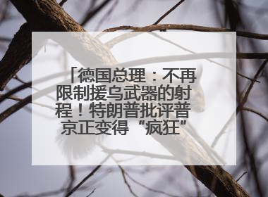 德国总理：不再限制援乌武器的射程！特朗普批评普京正变得“疯狂”，俄方最新回应