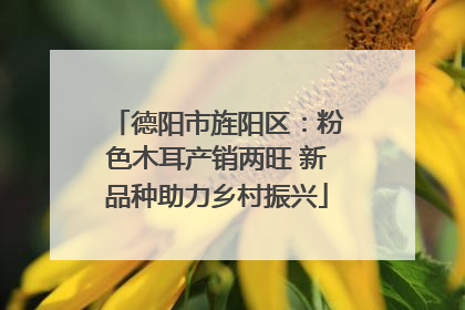 德阳市旌阳区：粉色木耳产销两旺 新品种助力乡村振兴