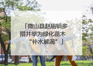 微山县赵庙镇多措并举为绿化苗木“补水解渴”