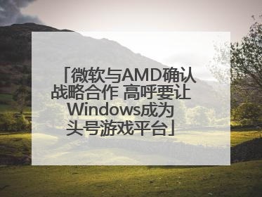 微软与AMD确认战略合作 高呼要让Windows成为头号游戏平台