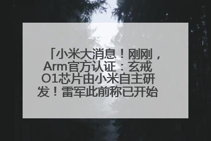 小米大消息！刚刚，Arm官方认证：玄戒O1芯片由小米自主研发！雷军此前称已开始大规模量产