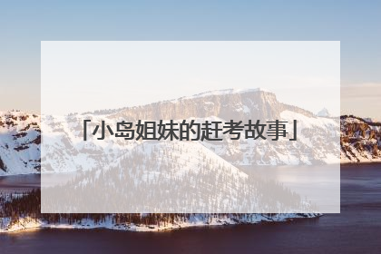 小岛姐妹的赶考故事