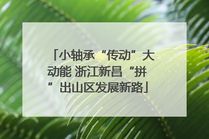 小轴承“传动”大动能 浙江新昌“拼”出山区发展新路