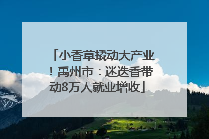 小香草撬动大产业！禹州市：迷迭香带动8万人就业增收