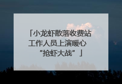 小龙虾散落收费站 工作人员上演暖心“抢虾大战”
