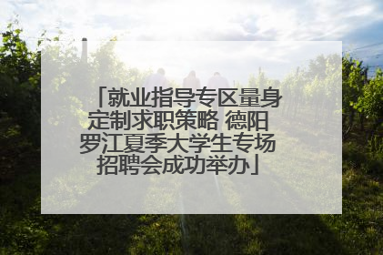 就业指导专区量身定制求职策略 德阳罗江夏季大学生专场招聘会成功举办