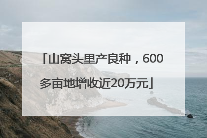 山窝头里产良种，600多亩地增收近20万元