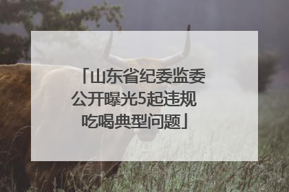 山东省纪委监委公开曝光5起违规吃喝典型问题