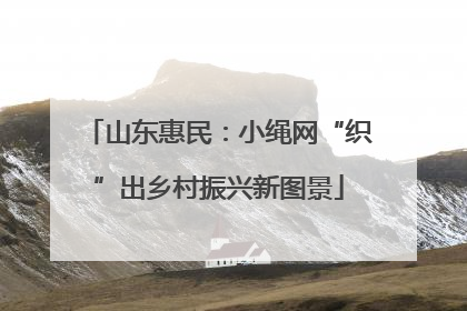 山东惠民：小绳网“织”出乡村振兴新图景