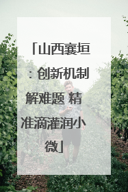 山西襄垣：创新机制解难题 精准滴灌润小微