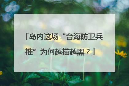 岛内这场“台海防卫兵推”为何越描越黑？