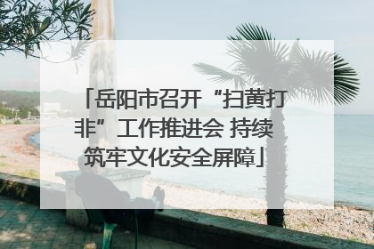 岳阳市召开“扫黄打非”工作推进会 持续筑牢文化安全屏障