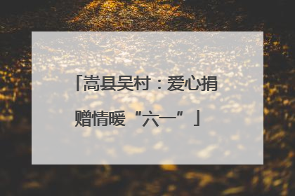 嵩县吴村：爱心捐赠情暖“六一”