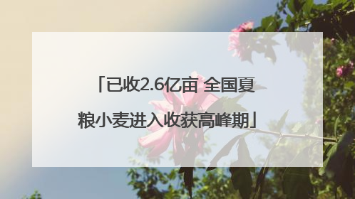 已收2.6亿亩 全国夏粮小麦进入收获高峰期