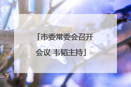 市委常委会召开会议 韦韬主持