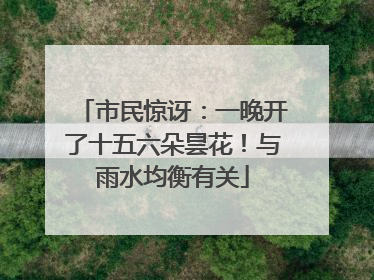 市民惊讶：一晚开了十五六朵昙花！与雨水均衡有关