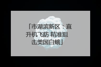 市湖滨新区：直升机飞防 精准狙击美国白蛾