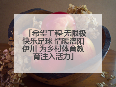 希望工程·无限极快乐足球 情暖洛阳伊川 为乡村体育教育注入活力