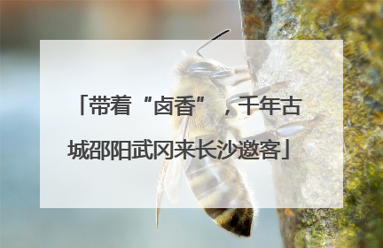 带着“卤香”，千年古城邵阳武冈来长沙邀客