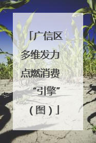广信区多维发力点燃消费“引擎”（图）
