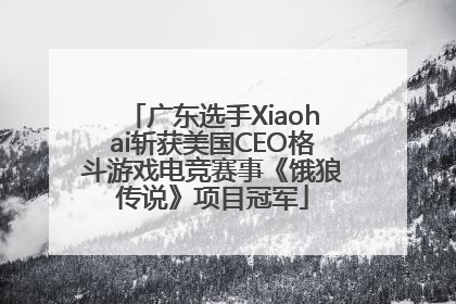 广东选手Xiaohai斩获美国CEO格斗游戏电竞赛事《饿狼传说》项目冠军