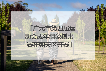 广元市第四届运动会成年组象棋比赛在朝天区开赛
