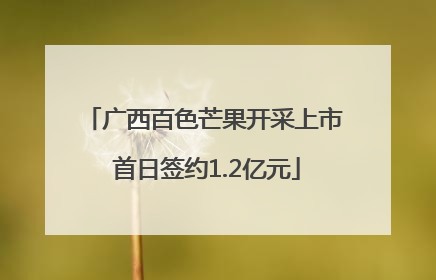 广西百色芒果开采上市 首日签约1.2亿元