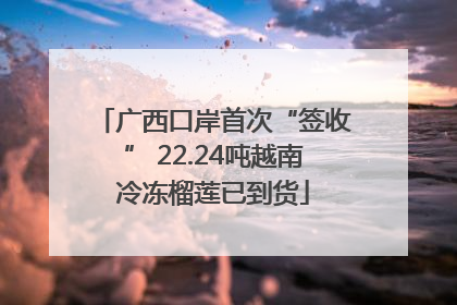 广西口岸首次“签收” 22.24吨越南冷冻榴莲已到货