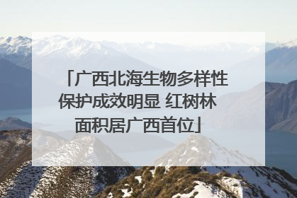 广西北海生物多样性保护成效明显 红树林面积居广西首位