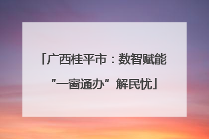 广西桂平市：数智赋能“一窗通办”解民忧