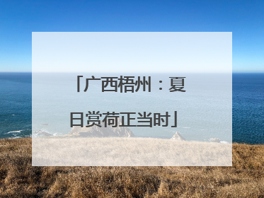广西梧州：夏日赏荷正当时