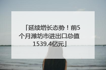 延续增长态势！前5个月潍坊市进出口总值1539.4亿元