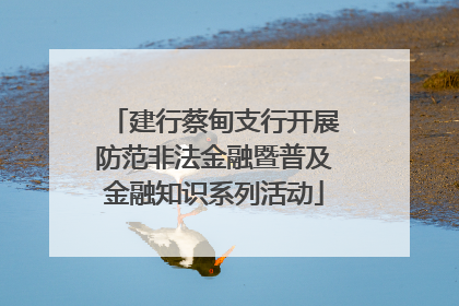 建行蔡甸支行开展防范非法金融暨普及金融知识系列活动