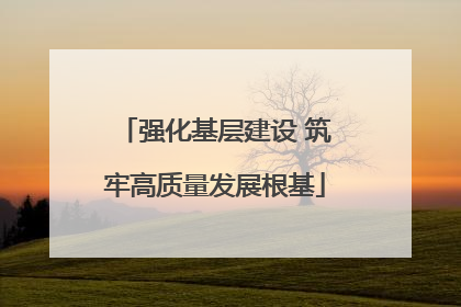 强化基层建设 筑牢高质量发展根基