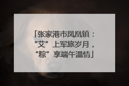 张家港市凤凰镇：“艾”上军旅岁月，“粽”享端午温情