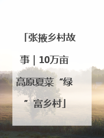 张掖乡村故事｜10万亩高原夏菜“绿”富乡村