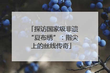 探访国家级非遗“夏布绣”：指尖上的丝线传奇