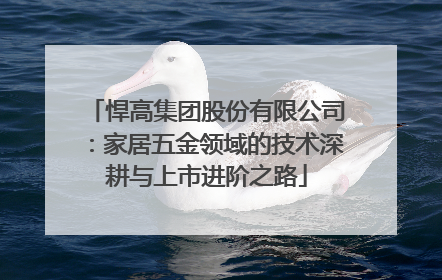 悍高集团股份有限公司：家居五金领域的技术深耕与上市进阶之路
