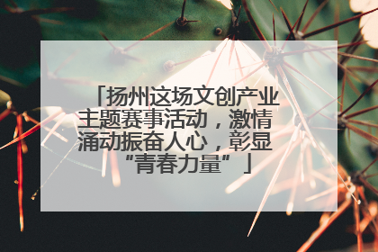 扬州这场文创产业主题赛事活动，激情涌动振奋人心，彰显“青春力量”