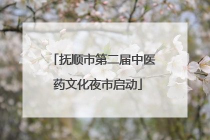 抚顺市第二届中医药文化夜市启动