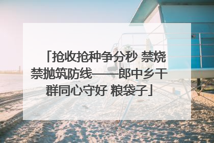 抢收抢种争分秒 禁烧禁抛筑防线——郎中乡干群同心守好 粮袋子