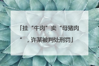 挂“牛肉”卖“母猪肉”，许某被判处刑罚